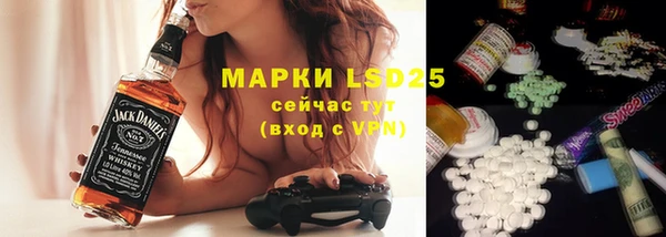 spice Бородино