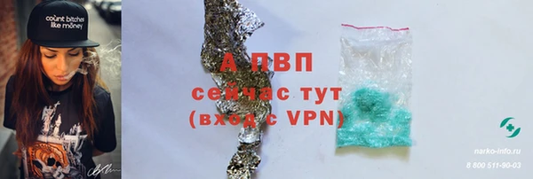 spice Бородино