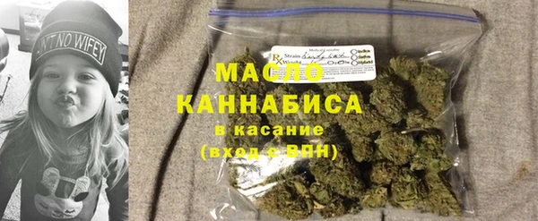 spice Бородино
