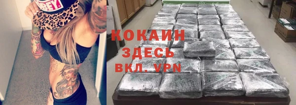 spice Бородино