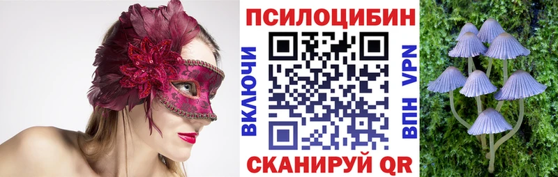 купить наркоту Шебекино Псилоцибиновые грибы Psilocybe